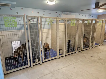 Kennels interior