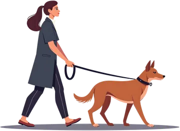 Daily Walking